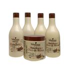 Kit Mandioca E Óleo Rícino (2 Shampoo, 2 Condicionador e 1 Máscara) Maycrene