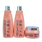 Kit Manutenção Fortificante Capilar Mega Force Life Hair 500ml (Na Bolsinha)