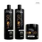 Kit Manutenção Horse Rofer Profissional 3x500ml