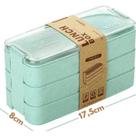 Kit Marmita 3 Andares Com Talheres Incluso Livre De Bpa