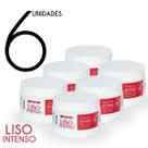 KIT Máscara Begonia Liso Intenso 300g 6 Unds