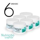 KIT Máscara Begonia Nutrição Capilar 300g 6 Unds