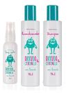 Kit Mata Piolhos Arruda e Citronela Abelha Rainha