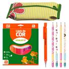 Kit Material Escolar Com Estojo Lapis De Cor 48 Cores Lapiseira - Leo e Leo