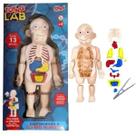 Kit Médico Corpo Humano em Plástico: Um mundo de descobertas te espera dentro do corpo humano!