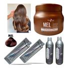 Kit Mel 01 Máscara 250g 02 Tintas Mel E 02 Ox 20vol HYDRATYLIFE