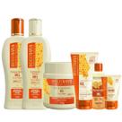 Kit Mel Nutritivo 250ml + Propomel 30g Bio Extratus Kit Mel Nutritivo 250ml + Propomel 30g Bio Extratus
