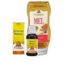 Kit Mel Puro Silvestre 550g + Própolis Marrom 15% Kit Mel Puro Silvestre 550g + Própolis Marrom 15%