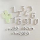 Kit Mesversário - Cacto - Cenário para fotos Minimalista