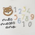 Kit Mesversário - Shiba / Raposa - Presente Nascimento Bebê