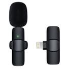 Kit Microfone Sem Fio Lightning Celular Premium Kit Microfone Sem Fio Lightning Celular Premium