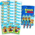 Kit Mini Lembrancinhas Paw Patrol com 24 Unidades e Material para Colorir Kit Mini Lembrancinhas Paw Patrol com 24 Unidades e Material para Colorir