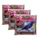 KIT Mistura Nutripássaros Oleosa Mamão Sábia E Pássaro Preto 3X500grs