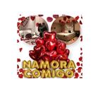 Kit Namora Comigo + 500 Pétalas Rosas + 10 Balões Coração + 12 Velas Rechaud + Canudo + 10m Fitilho