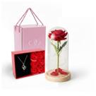 Kit Namorados Luminária Rosa Encantada + Colar Eu Te Amo