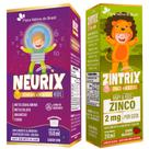 KIT NEURIX + ZINTRIX - Flora Nativa Sabor:Uva KIT NEURIX + ZINTRIX - Flora Nativa Sabor:Uva
