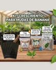 kit Nutrição Para Mudas de Banana com Manual