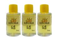 Kit Óleo de Argan Le Salon Profissional 3x9ml