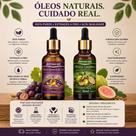 Kit Óleo de Goiabeira + Óleo de Semente de Uva 30ml Hidratação Nutrição Capilar e Cuidados com a P Kit Óleo de Goiabeira + Óleo de Semente de Uva 30ml Hidratação Nutrição Capilar e Cuidados com a P