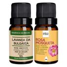 Kit Óleo Essen. Lavanda Bulgária + Vegetal R. Mosqueta 10ml Kit Óleo Essen. Lavanda Bulgária + Vegetal R. Mosqueta 10ml