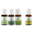 Kit Óleo Essencial 100% Puro Alecrim Hortelã Eucalipto Limão