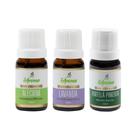 Kit Óleo Essencial 100% Puro Lavanda Alecrim Menta Piperita