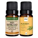 Kit Óleo Essencial Anis-Estrelado + Vegetal de Alecrim 10ml