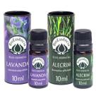 Kit Óleo Essencial Lavanda e Alecrim BioEssência 10ml