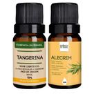 Kit Óleo Essencial Tangerina + Óleo Vegetal de Alecrim 10ml