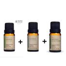 Kit óleo essências 1 óleo Tea Tree 10ml + 1 óleo Alecrim 10 ml + 1 óleo Lemograss 10 ml