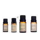 Kit óleo essências para micose 1 Alecrim 10ml + 1 Tea Tree 10ml + 1 Lavanda 10ml + 1 Orégano10ml