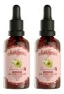Kit Óleo Girassol Ozonizado Aloe Citronela Melaleuca Pés