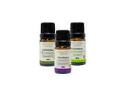 Kit Óleos De Melaleuca, Lavanda E Hortelã P. - BelezaNatu