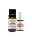 Kit Óleos Essenciais Lavanda 10ml Belezanatu e Gerânio 5ml Phytoterápica