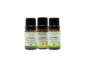 Kit Óleos Essenciais Melaleuca, Copaíba e Hortelã - Belezanatu