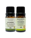 Kit Óleos essenciais Melaleuca e Alecrim 10ml Belezanatu