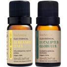 Kit Óleos Essenciais Para Aromaterapia Via Aroma Bergamota E Eucalipto Puros E Naturais