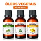 Kit Óleos Vegetais Rícino Copaíba Girassol, hidratação pele e cabelo, uso diário, prensado a frio, 3x30ml