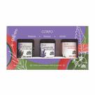 Kit Óleos Vegetais WNF Pronto Para o Corpo