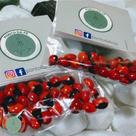 Kit Olho de Cabra e Olho de Pombo - 30 Unidades Kit Olho de Cabra e Olho de Pombo - 30 Unidades