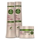 Kit Ora-pro-nóbis Haskell (3 itens) Shampoo, Condicionador e Máscara