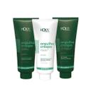 Kit orgulho crespo modelagem de cachos transição capilar 500g hoka