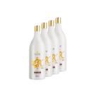 Kit Oxidante Profissional 4 Ox de 30 volumes Água Oxigenada