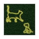 Kit Painel Neon Led Cachorro e Gato Pet Shop Amante de Animais