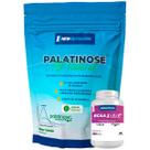 Kit Palatinose All Natural 1Kg Limão + BCAA 2:1:1 2400mg Com Vitamina B6 NEWNUTRITION Kit Palatinose All Natural 1Kg Limão + BCAA 2:1:1 2400mg Com Vitamina B6 NEWNUTRITION