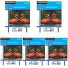 Kit Papel fotográfico glossy 100 fls 230 grs Masterprint