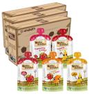 Kit Papinha Organica Natuzinho 5 sabores Bebe 35 unidades