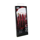 Kit para Pintura Aquarela Royal C/5 Pçs