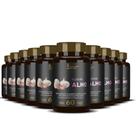 Kit Para Revenda Óleo De Alho Alicina 10x60 Cápsulas Liquidas - Alisson Nutrition