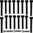 Kit parafusos aço liga tampa motor lateral esquerda+direita YBR125 Factor XTZ125 2000 a 2016 Kit parafusos aço liga tampa motor lateral esquerda+direita YBR125 Factor XTZ125 2000 a 2016